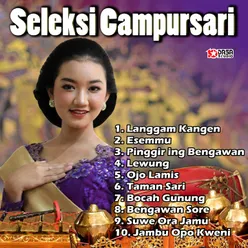 Seleksi Campursari