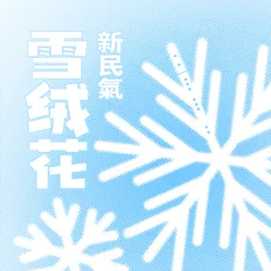 雪绒花 民乐版