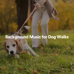 Background Music for Dog Walks