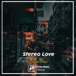 Stereo Love Remix