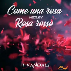 Come una rosa / Rosa rosso