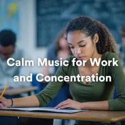 Calm Music for Work and Concentration