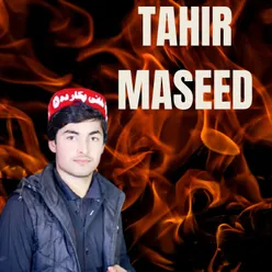 Pashto Sandare Tahir Maseed