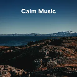 Calm Music, Pt. 1