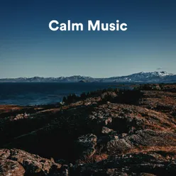 Calm Music, Pt. 8