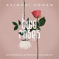 Two Roses Creative Process Comment by Avishai Cohen