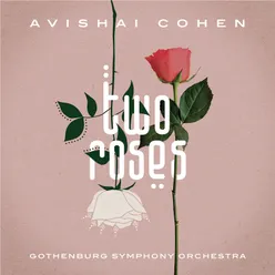 Working with Avishai Cohen Comment by Mark Guiliana