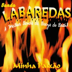 Minha Paixão A Melhor Banda de Brega do Brasil