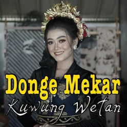 Donge Mekar