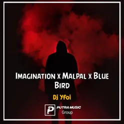 Imagination x malpal x blue bird Remix