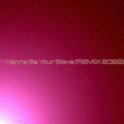 I Wanna Be Your Slave Remix 2022