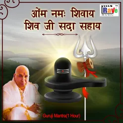 Om Namah Shivay Shivji Sada Sahay