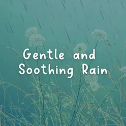 Gentle and Soothing Rain, Pt. 3