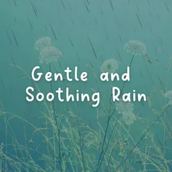 Gentle and Soothing Rain, Pt. 4
