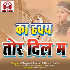 Ka Haway Tor Dil Ma Chhattisgarhi Song