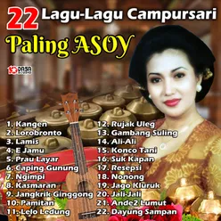22 Lagu Lagu Campursari Paling Asoy