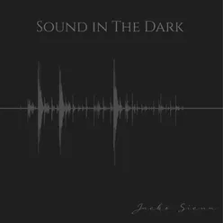 Sound in The Dark