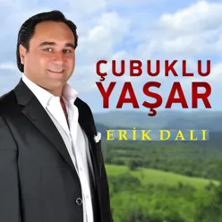 Oy Çubuklu