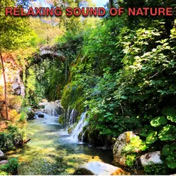 RELAXING SOUND OF NATURE