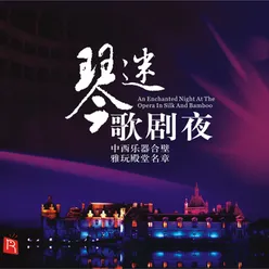 Turandot, SC 91: "Nessum dorma"