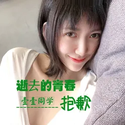 逝去的青春抱歉