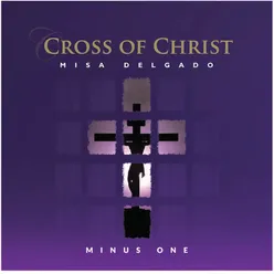 The Cross of Christ Minus One (Misa Delgado 7)