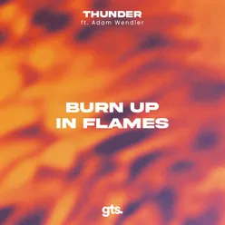 Burn up in Flames