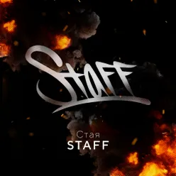 Стая STAFF