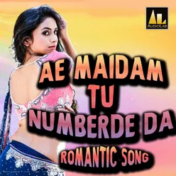 AE MAIDAM TU NUMBER DE DA ROMANTIC SONG