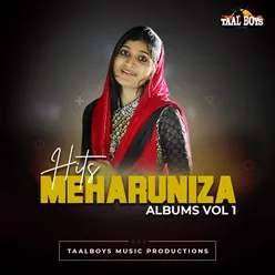 Hits Of Meharuniza Albums, Vol. 1