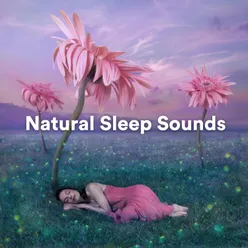 Natural Sleep Sounds