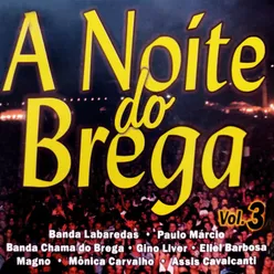 A Noite do Brega, Vol. 3