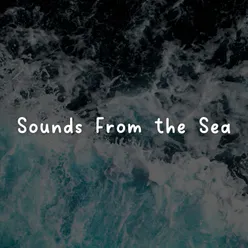 Sounds From the Sea