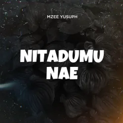 Nitadumu Nae