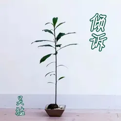 春雨花