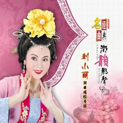 御辩 《梁婷》选段