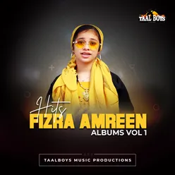 Hits Of Fizra Amreen, Vol. 1