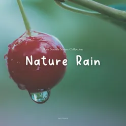 Nature Rain, Pt. 2