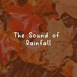 The Sound of Rainfall, Pt. 18
