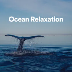 Relaxing Ocean Sounds, Pt. 4