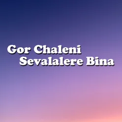 Gor Chaleni Sevalalere Bina