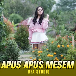 Apus Apus Mesem