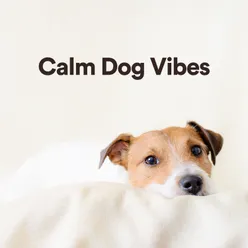 Calm Dog Vibes