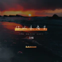 你从未离去 DJ版