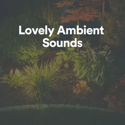 Lovely Ambient Sounds
