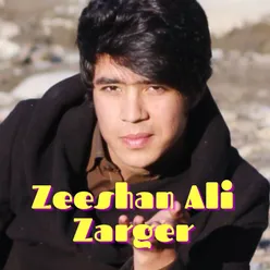 Zeeshan Ali Zarger Remix