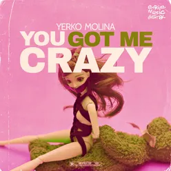 You Got Me Crazy The Remixes