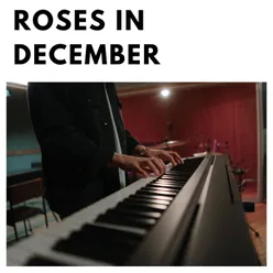 Roses In December