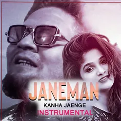 JAANEMAN KAHAN JAYENGE Instrumental