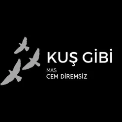 Kuş Gibi